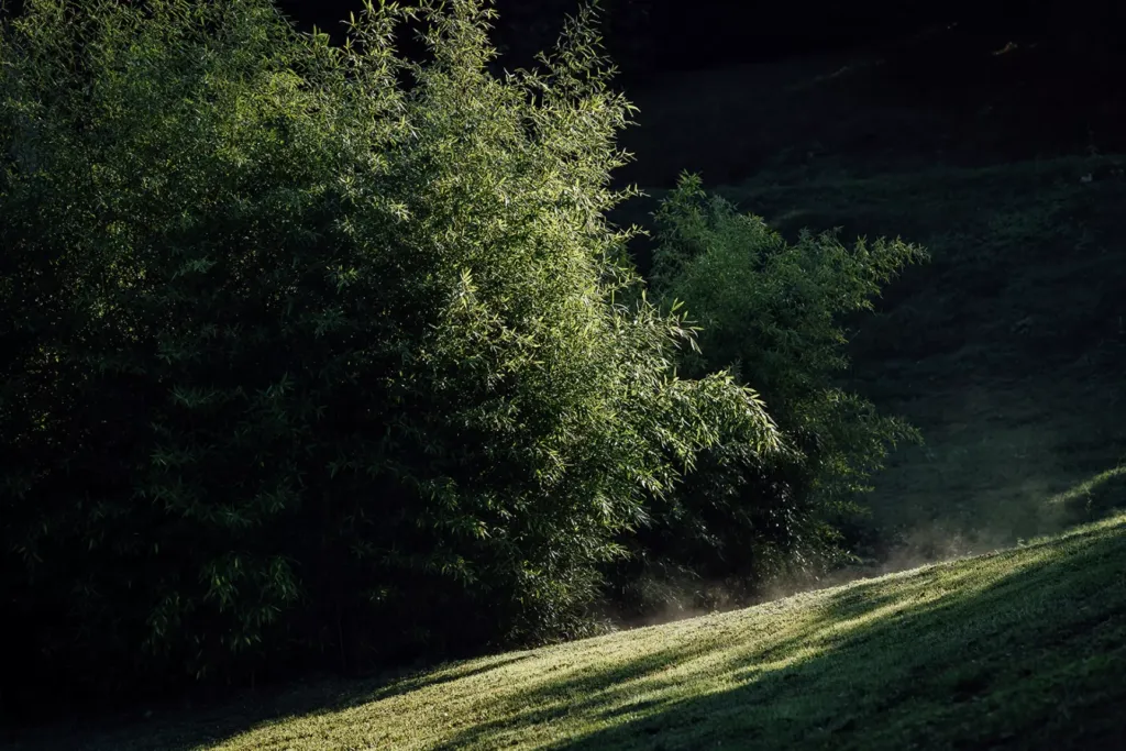 Palacio de la Concepción