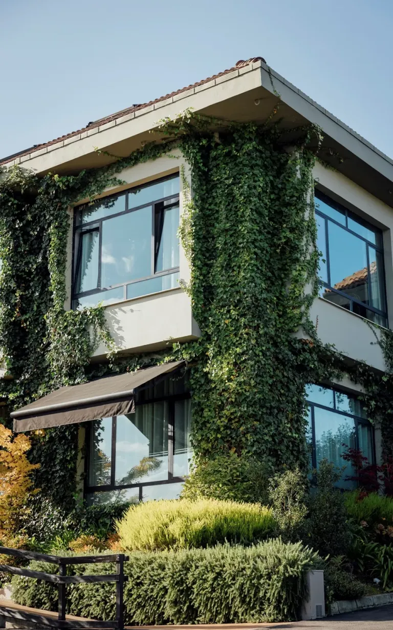 Esquina de un edificio con enredaderas por toda la fachada
